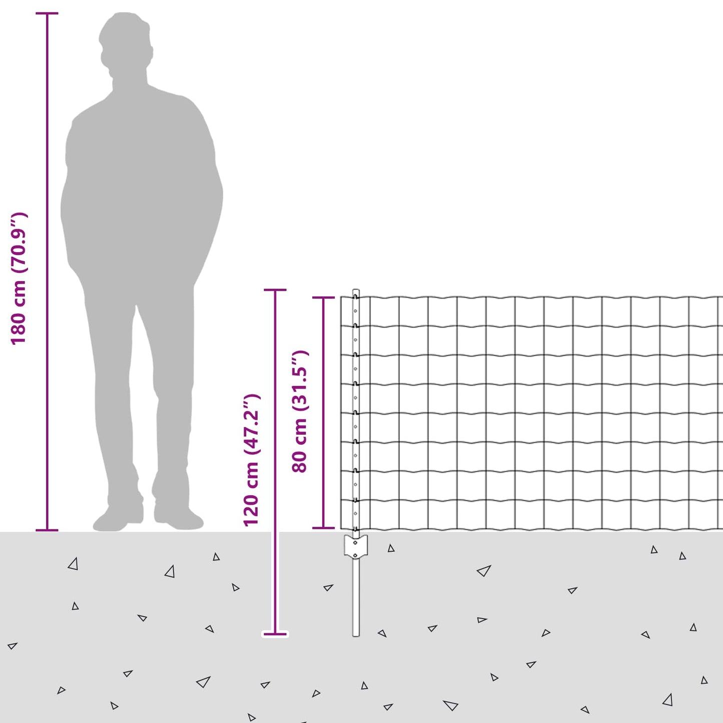 Eurohegn med stolpe 10 x 0,8 m PVC-belagt stål Grå Mesh