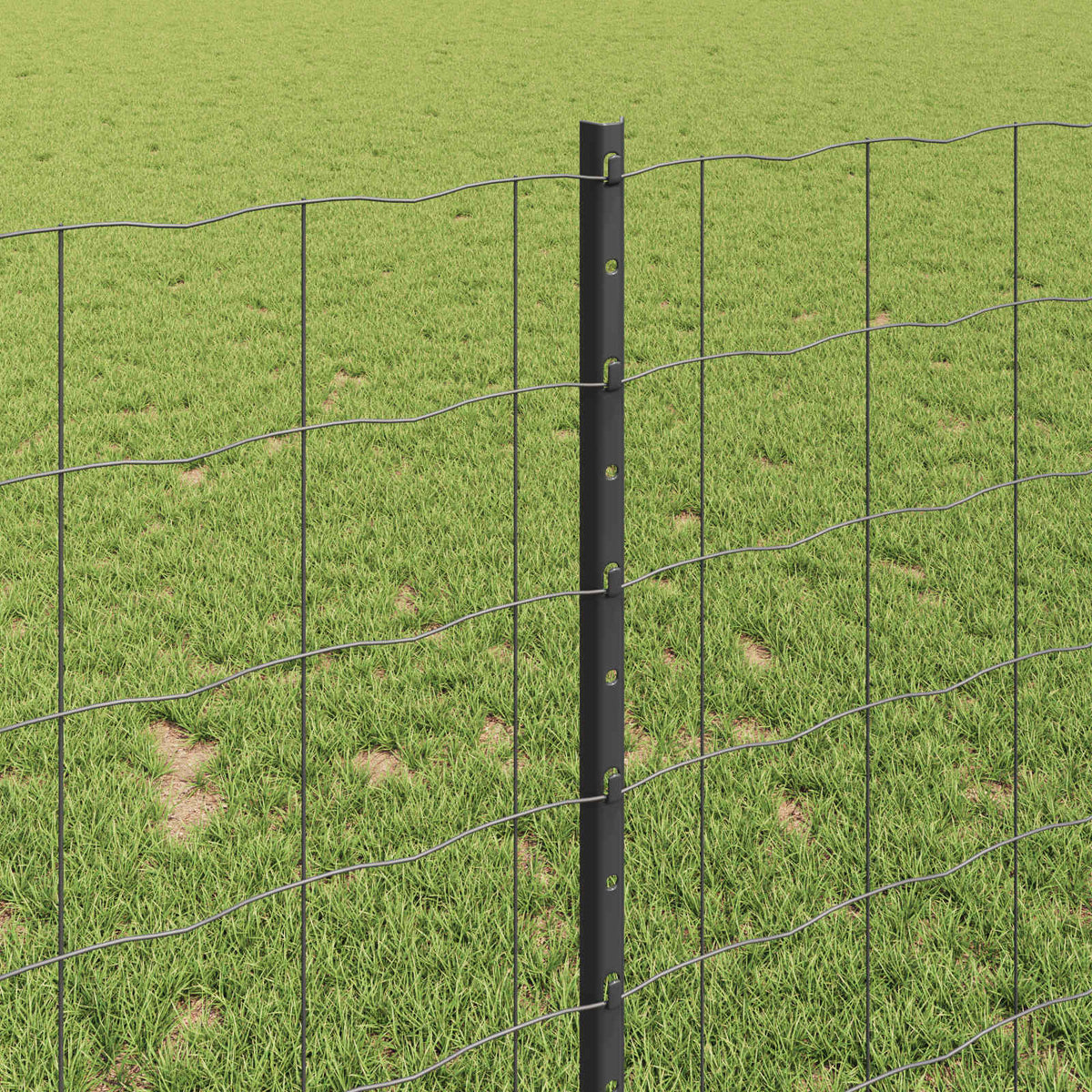 Eurohegn med stolpe 10 x 1 m PVC-belagt stål Grå Mesh