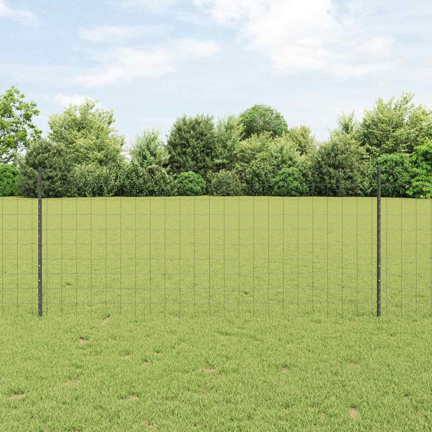 Eurohegn med stolpe 10 x 1 m PVC-belagt stål Grå Mesh