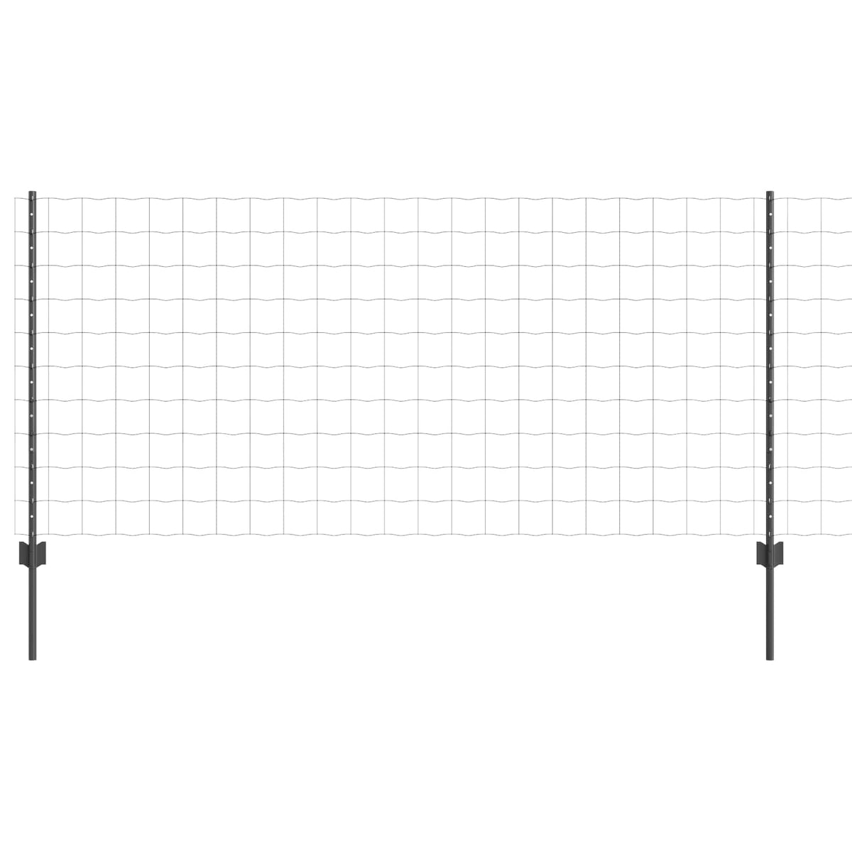 Eurohegn med stolpe 10 x 1 m PVC-belagt stål Grå Mesh