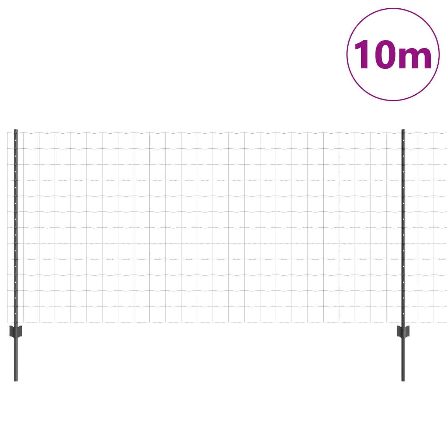 Eurohegn med stolpe 10 x 1,2 m PVC-belagt stål Grå Mesh