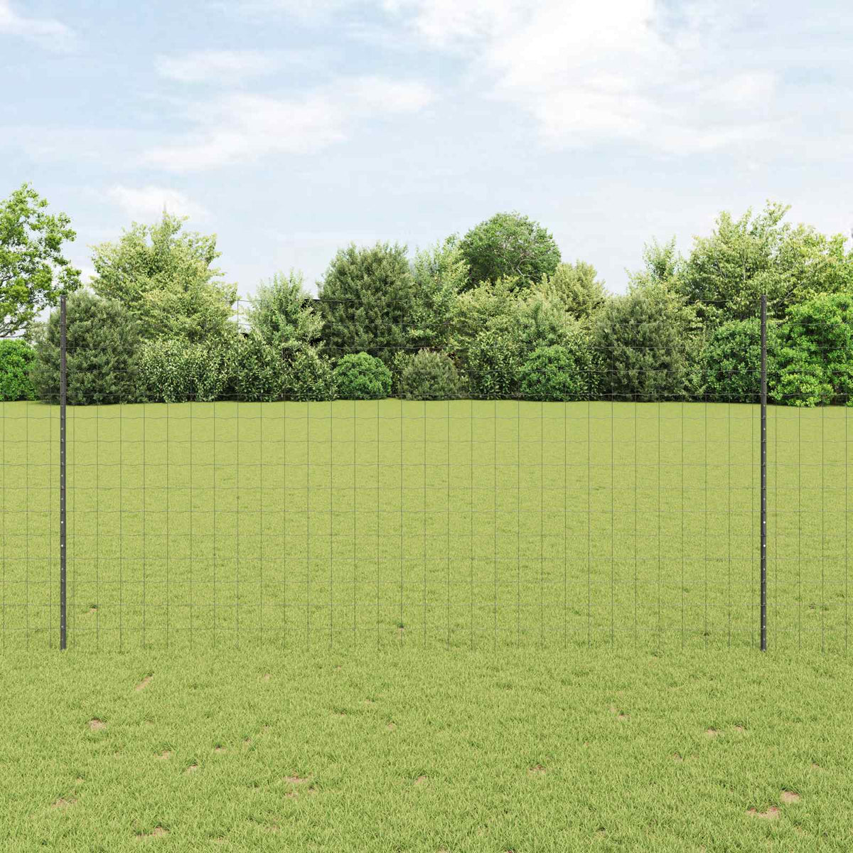 Eurohegn med stolpe 10 x 1,5 m PVC-belagt stål Grå Mesh