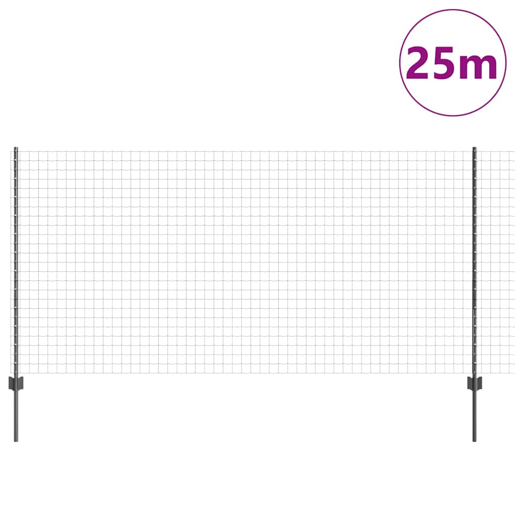 Eurohegn med stolpe 25 x 1,2 m PVC-belagt stål Grå Mesh