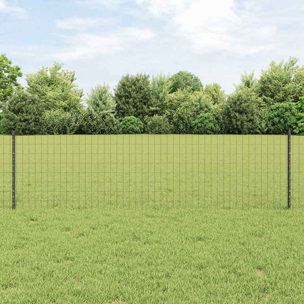 Eurohegn med stolpe 25 x 0,6 m PVC-belagt stål Grå Mesh