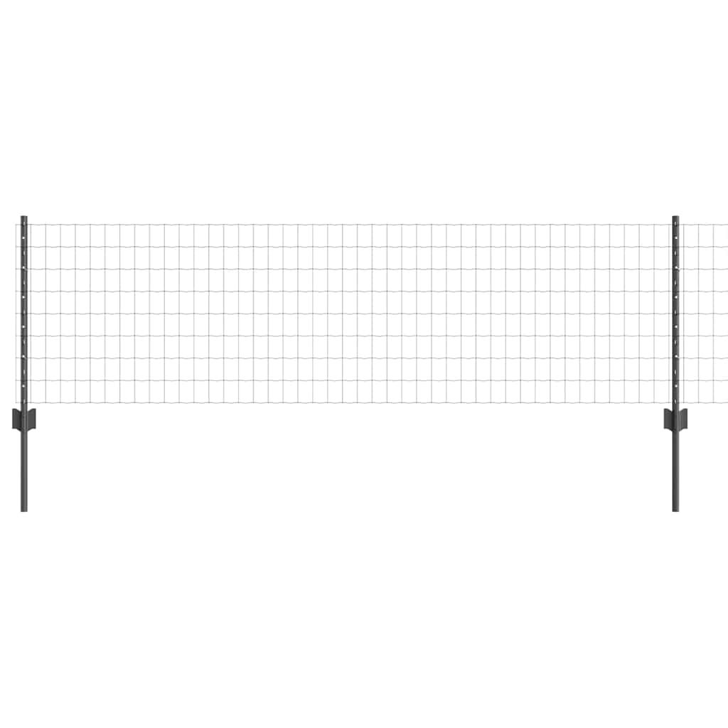 Eurohegn med stolpe 25 x 0,6 m PVC-belagt stål Grå Mesh
