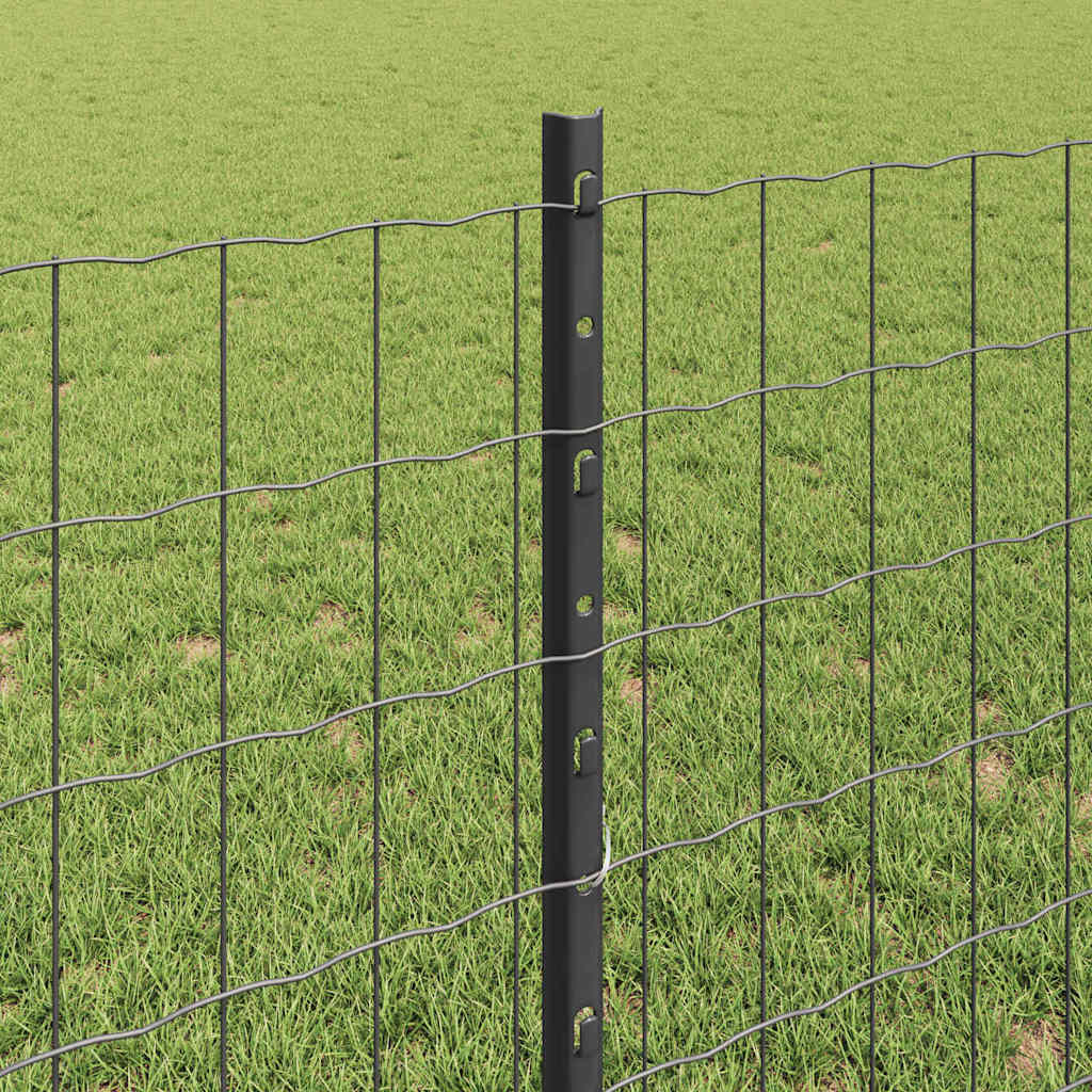 Eurohegn med stolpe 25 x 0,8 m PVC-belagt stål Grå Mesh