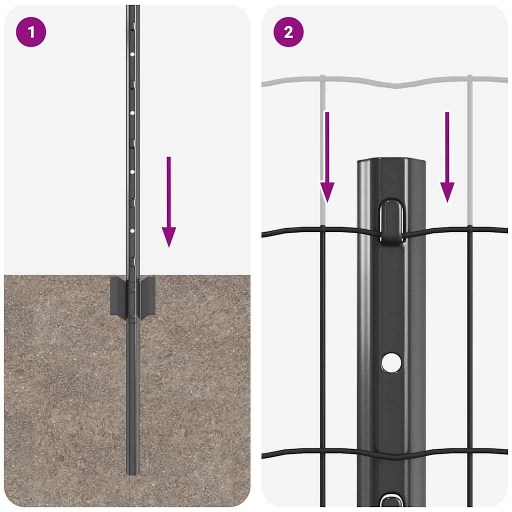 Eurohegn med stolpe 25 x 0,8 m PVC-belagt stål Grå Mesh