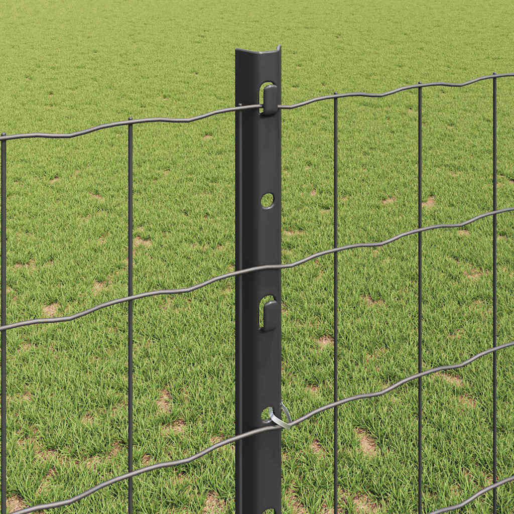 Eurohegn med stolpe 25 x 1,2 m PVC-belagt stål Grå Mesh