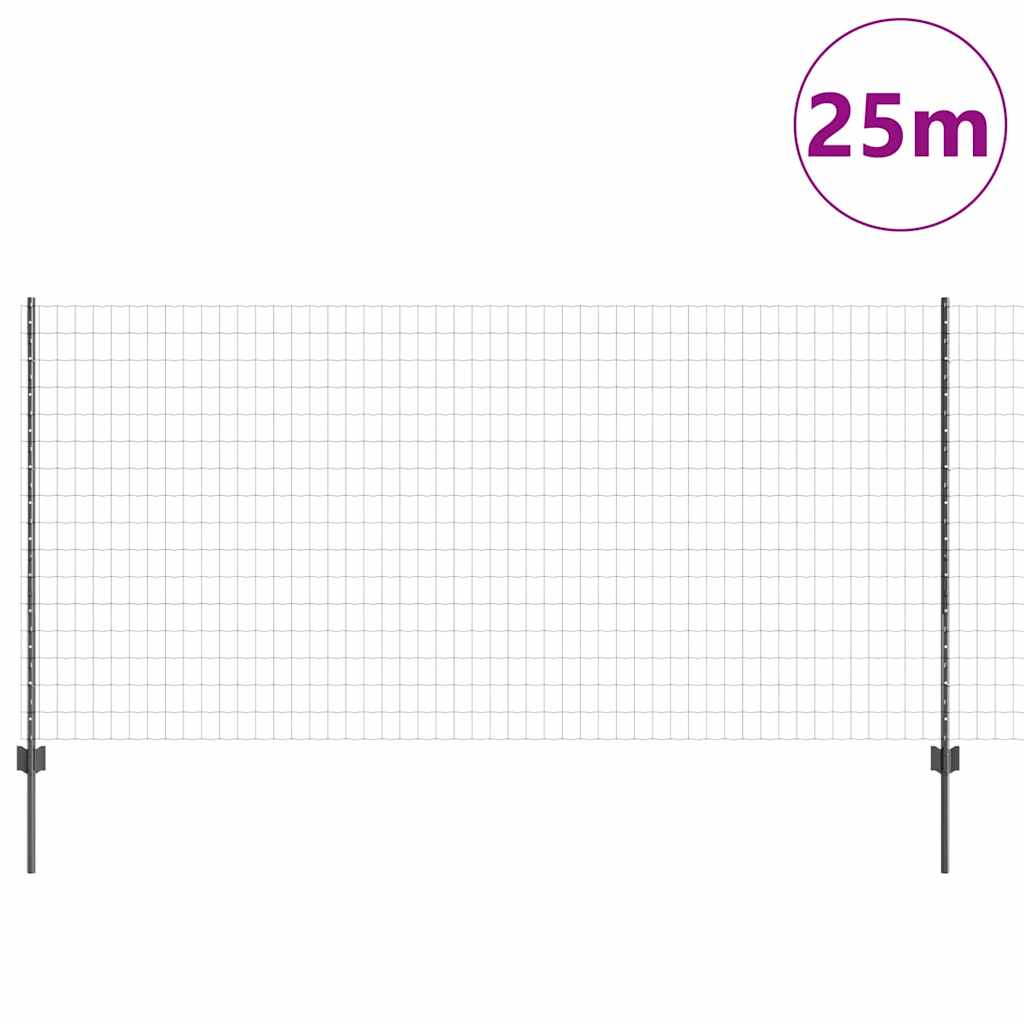 Eurohegn med stolpe 25 x 1,2 m PVC-belagt stål Grå Mesh