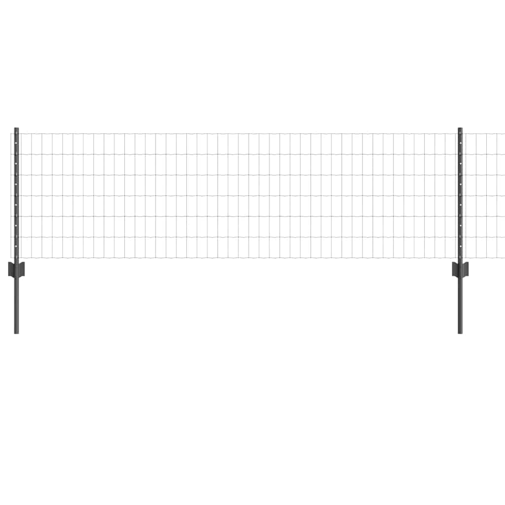 Eurohegn med stolpe 25 x 0,6 m PVC-belagt stål Grå Mesh