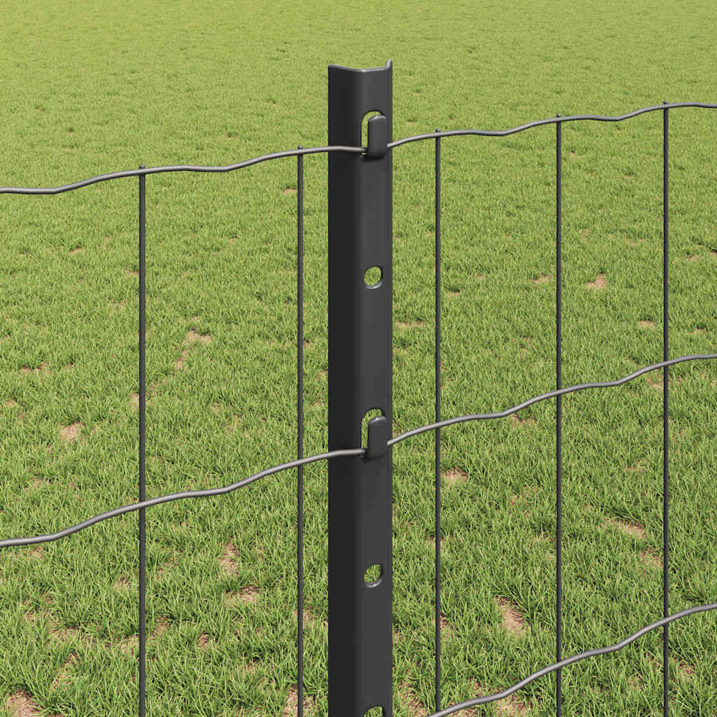 Eurohegn med stolpe 25 x 1,2 m PVC-belagt stål Grå Mesh