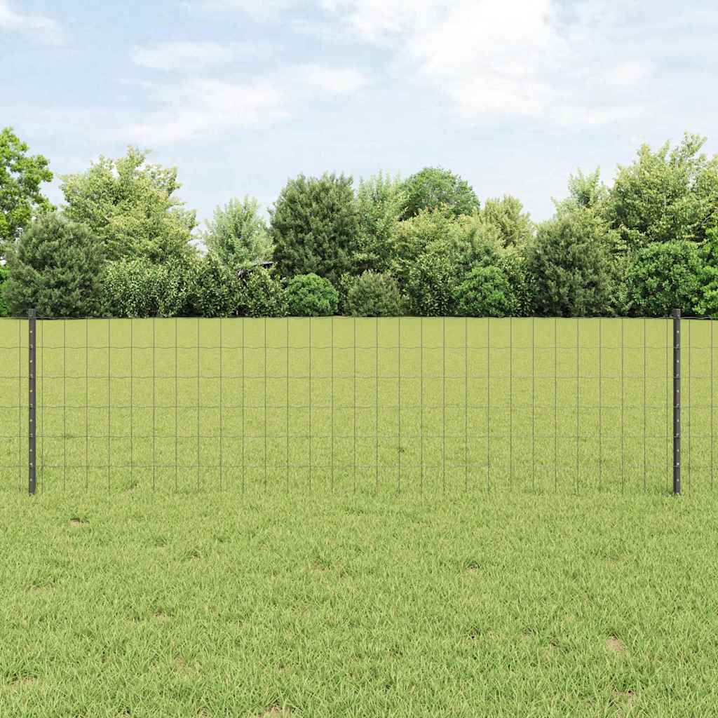 Eurohegn med stolpe 25 x 0,6 m PVC-belagt stål Grå Mesh