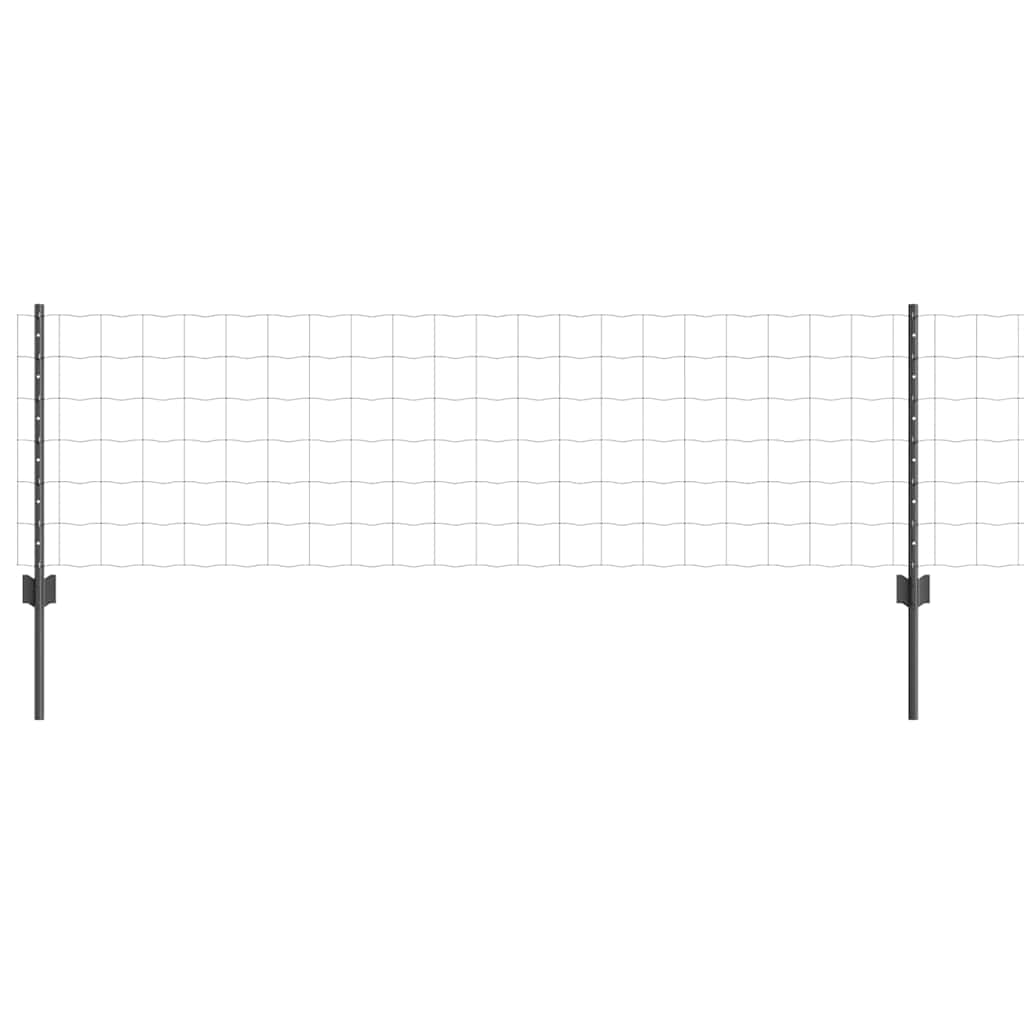 Eurohegn med stolpe 25 x 0,6 m PVC-belagt stål Grå Mesh