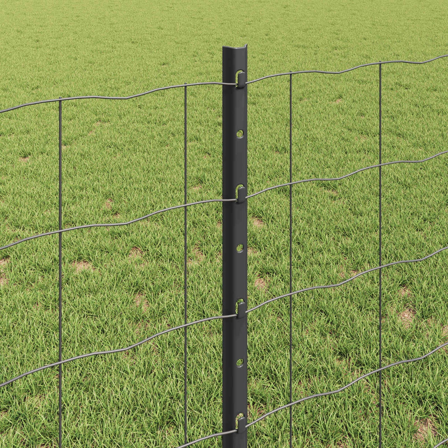 Eurohegn med stolpe 25 x 0,8 m PVC-belagt stål Grå Mesh