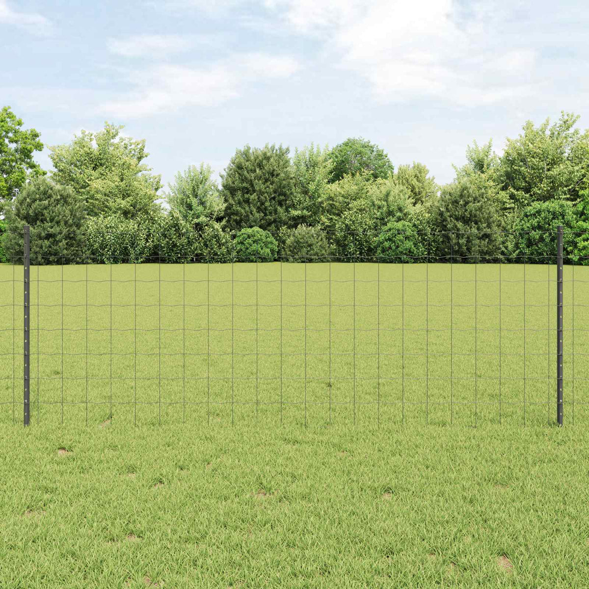 Eurohegn med stolpe 25 x 0,8 m PVC-belagt stål Grå Mesh