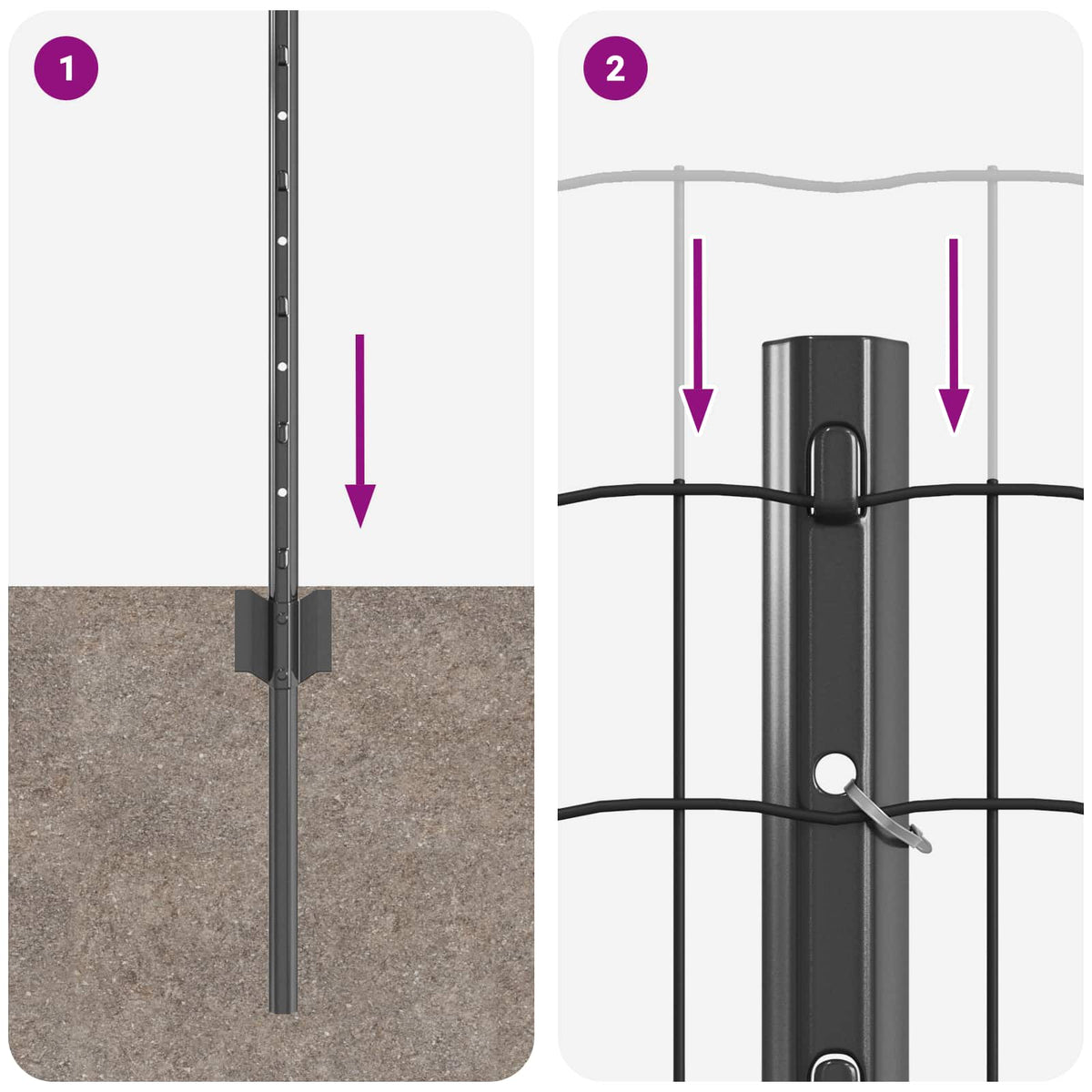 Eurohegn med stolpe 25 x 0,8 m PVC-belagt stål Grå Mesh