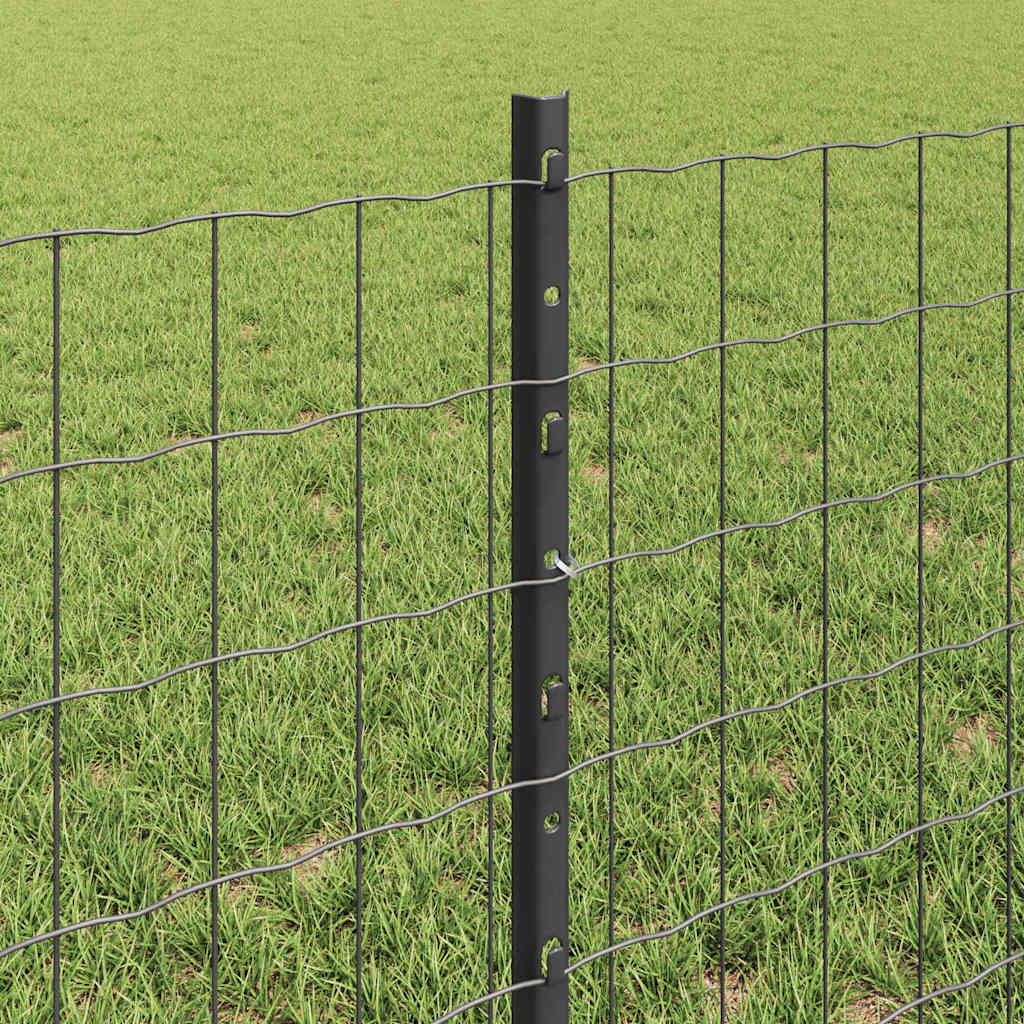 Eurohegn med stolpe 50 x 0,6 m PVC-belagt stål Grå Mesh