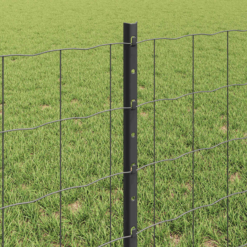 Eurohegn med stolpe 50 x 0,6 m PVC-belagt stål Grå Mesh
