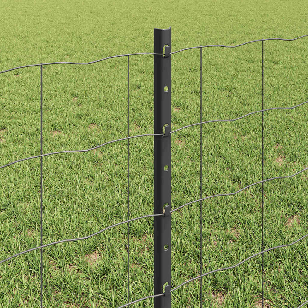 Eurohegn med stolpe 50 x 0,6 m PVC-belagt stål Grå Mesh