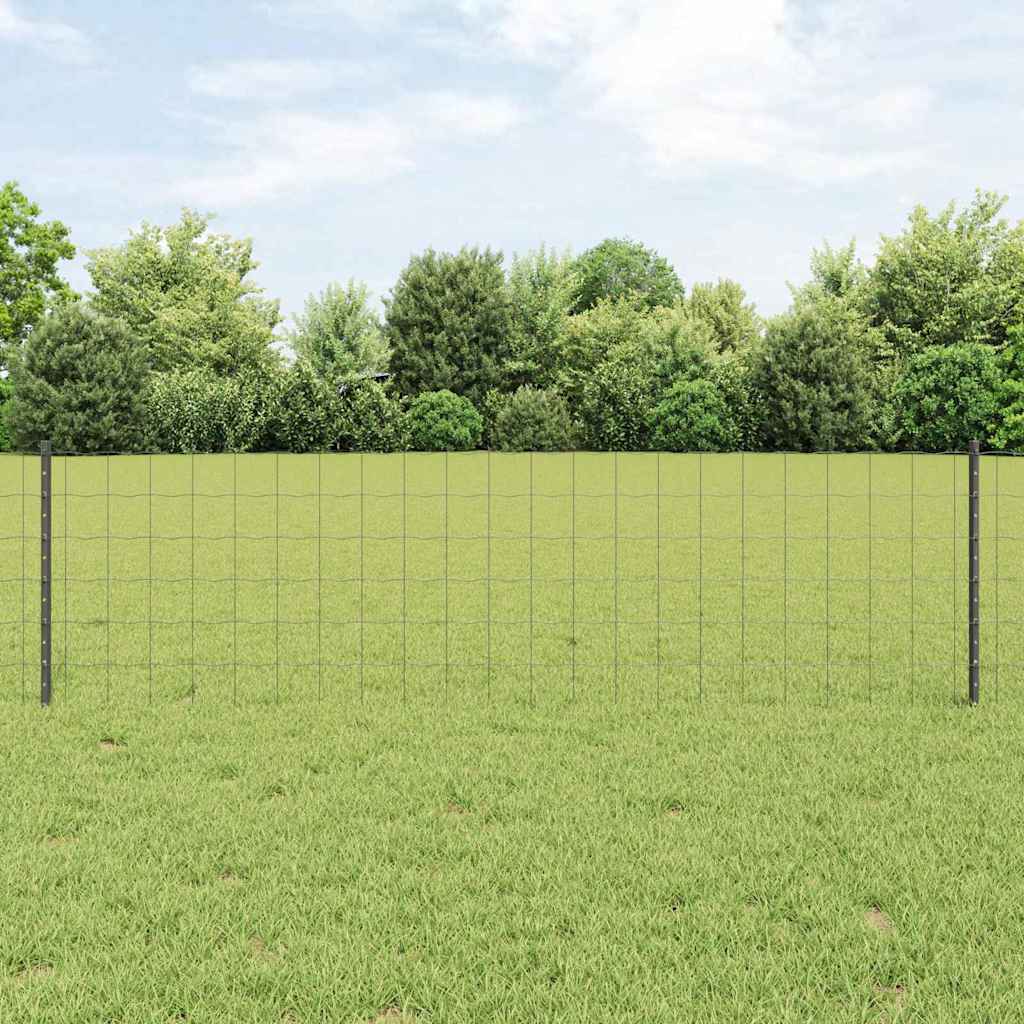 Eurohegn med stolpe 50 x 0,6 m PVC-belagt stål Grå Mesh