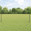 Eurohegn med stolpe 10 x 0,8 m PVC-belagt stål Grå Mesh