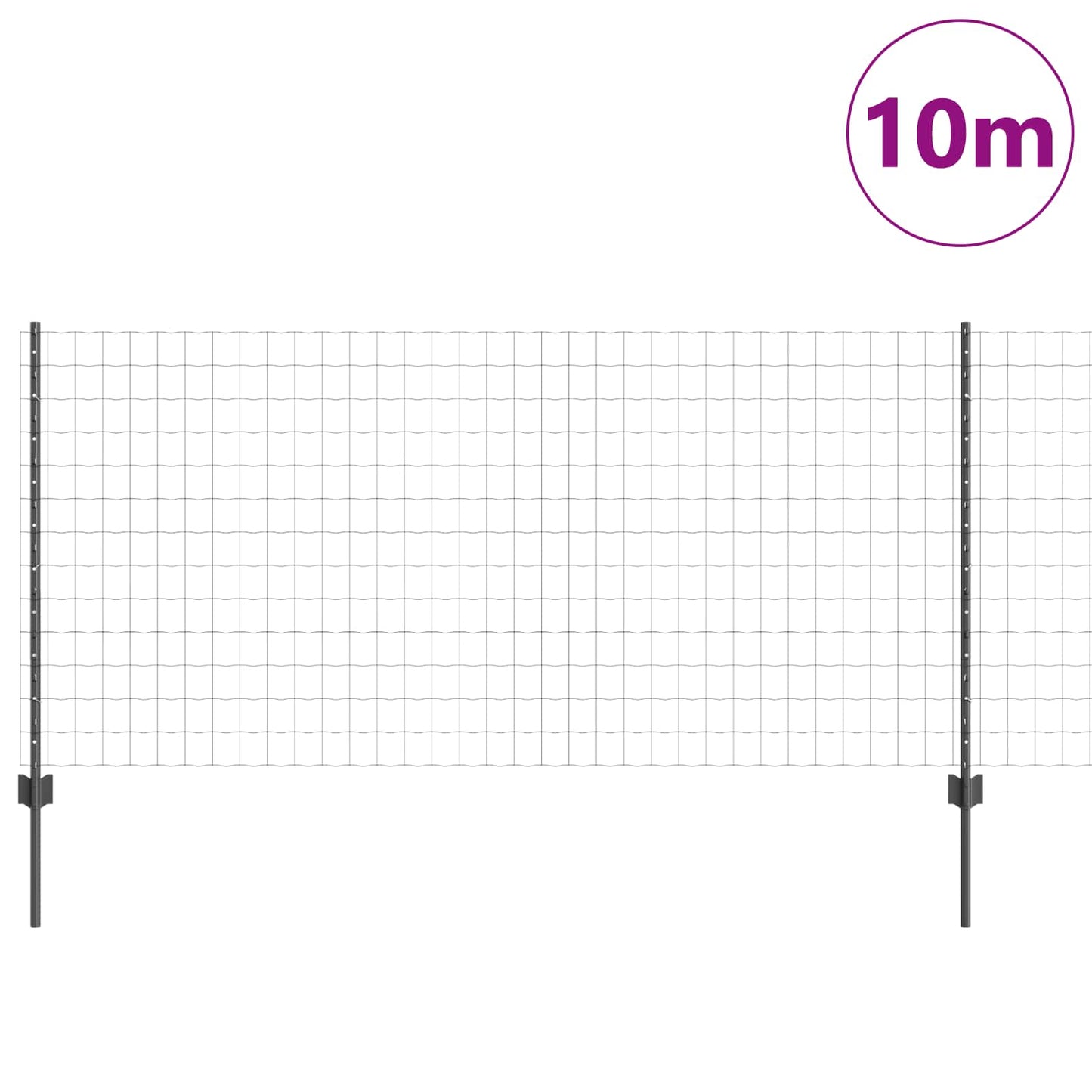 Eurohegn med stolpe 10 x 1 m PVC-belagt stål Grå Mesh