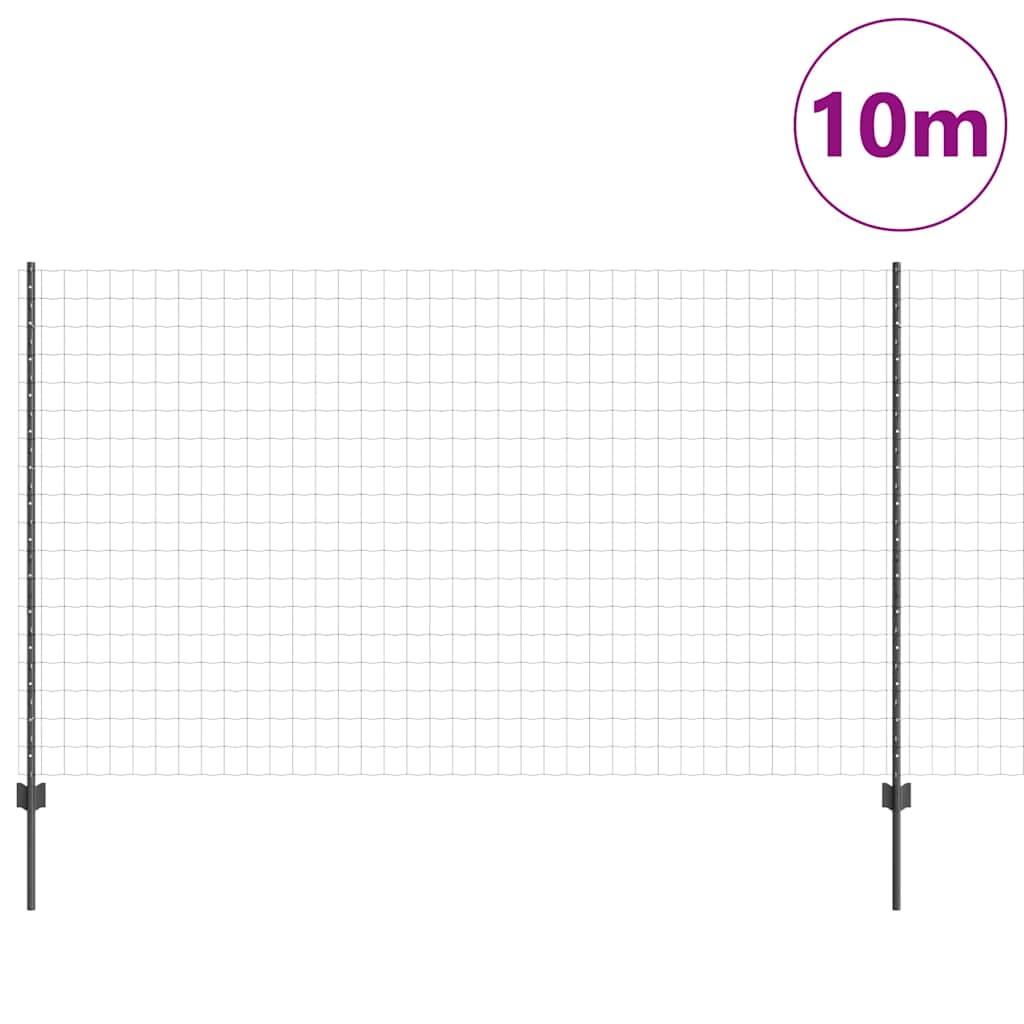 Eurohegn med stolpe 10 x 1,4 m PVC-belagt stål Grå Mesh