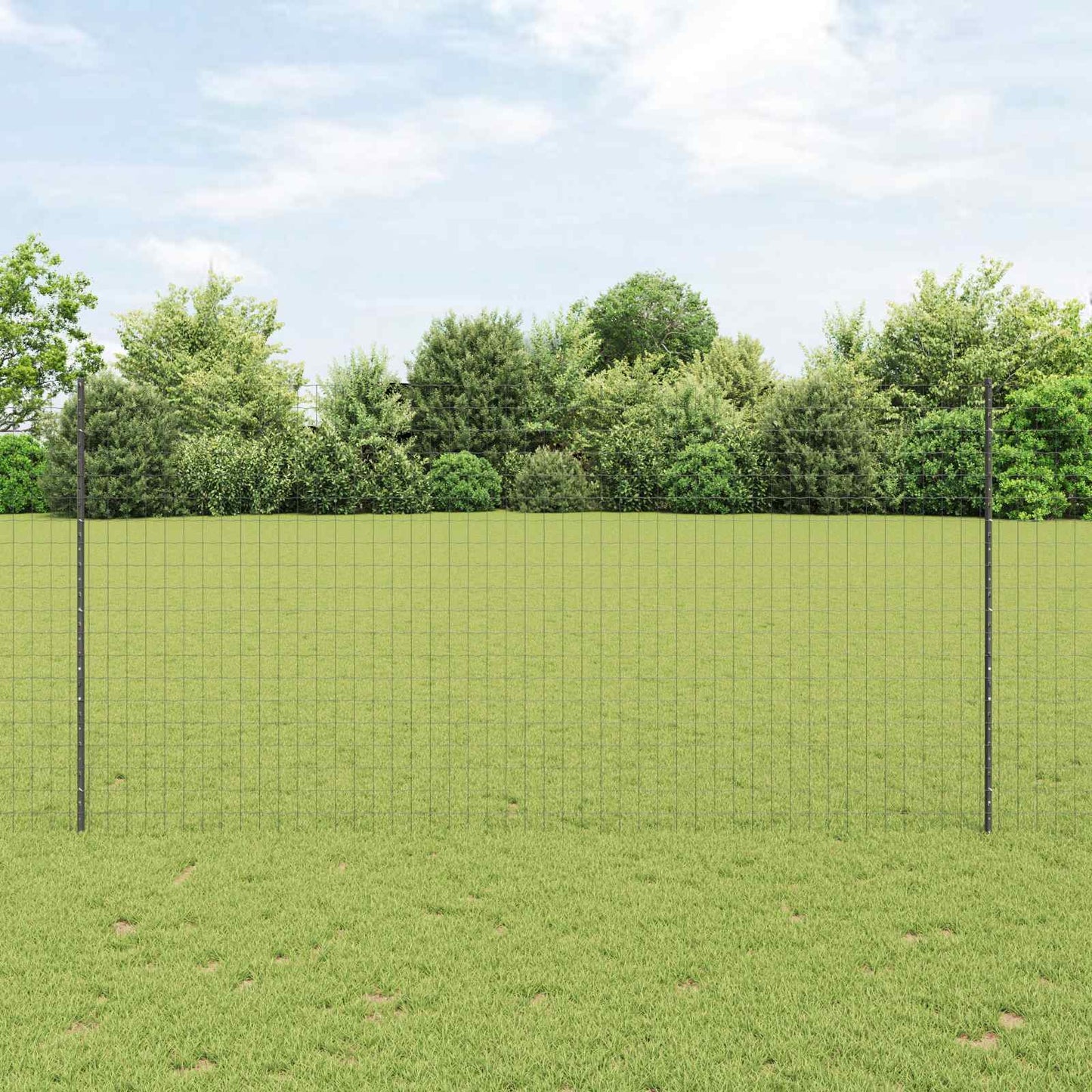 Eurohegn med stolpe 10 x 1,5 m PVC-belagt stål Grå Mesh