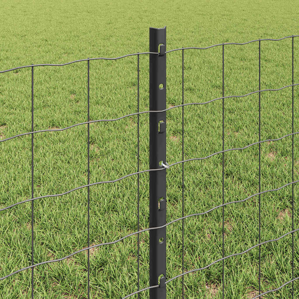 Eurohegn med stolpe 25 x 0,6 m PVC-belagt stål Grå Mesh