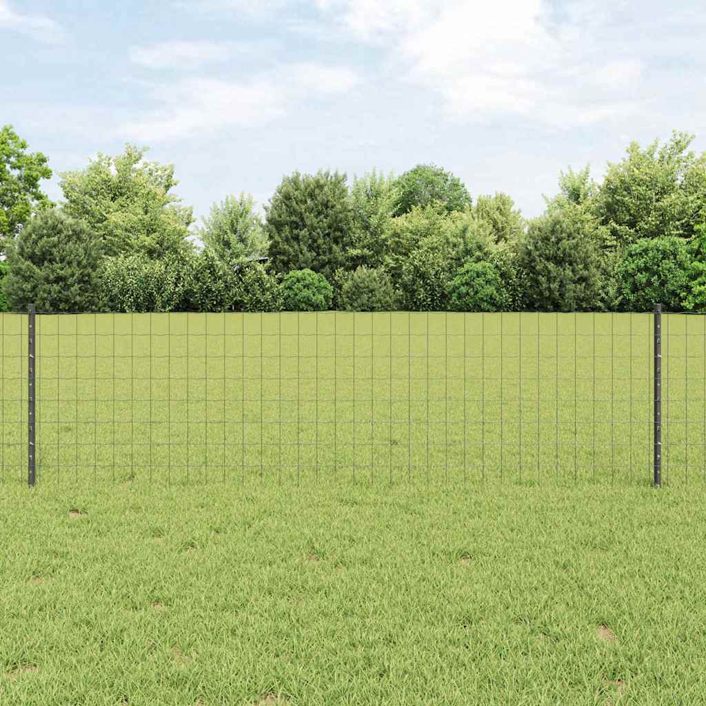 Eurohegn med stolpe 25 x 0,6 m PVC-belagt stål Grå Mesh