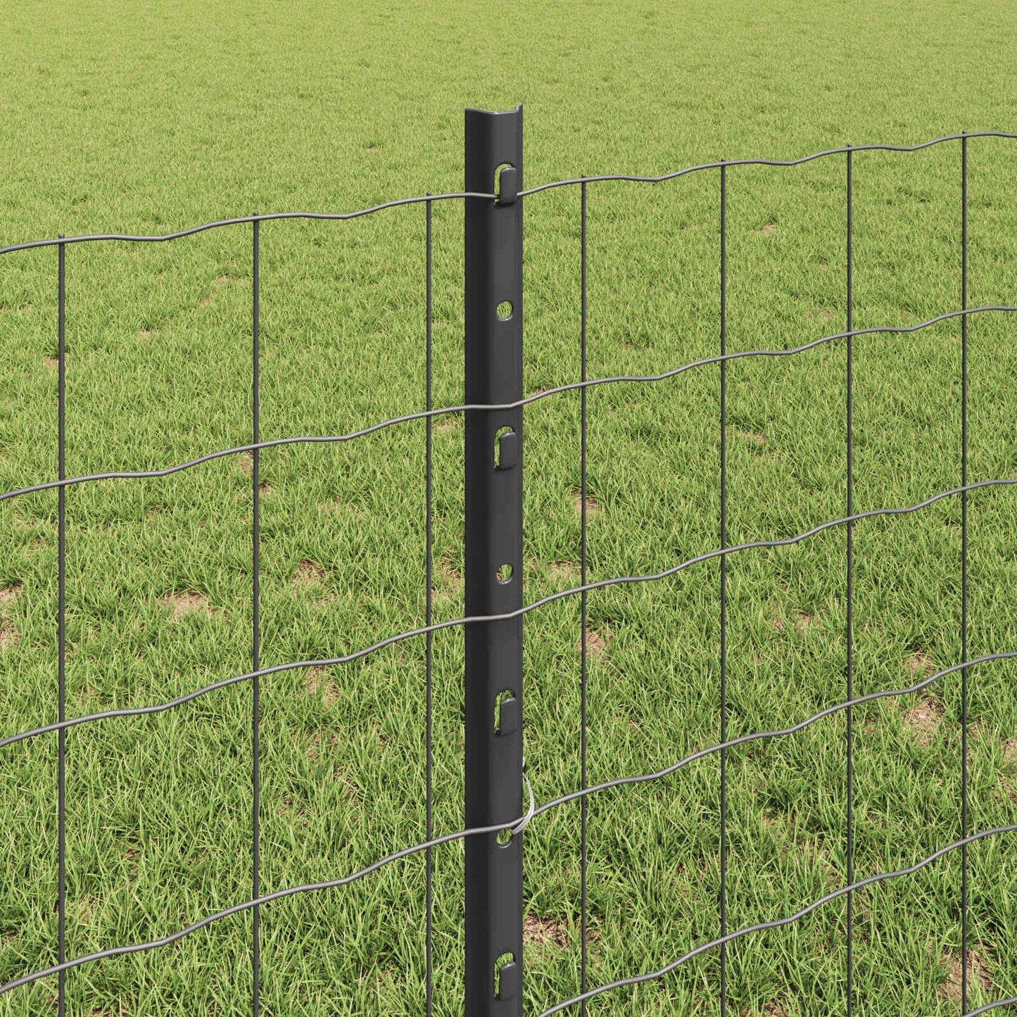 Eurohegn med stolpe 25 x 0,8 m PVC-belagt stål Grå Mesh