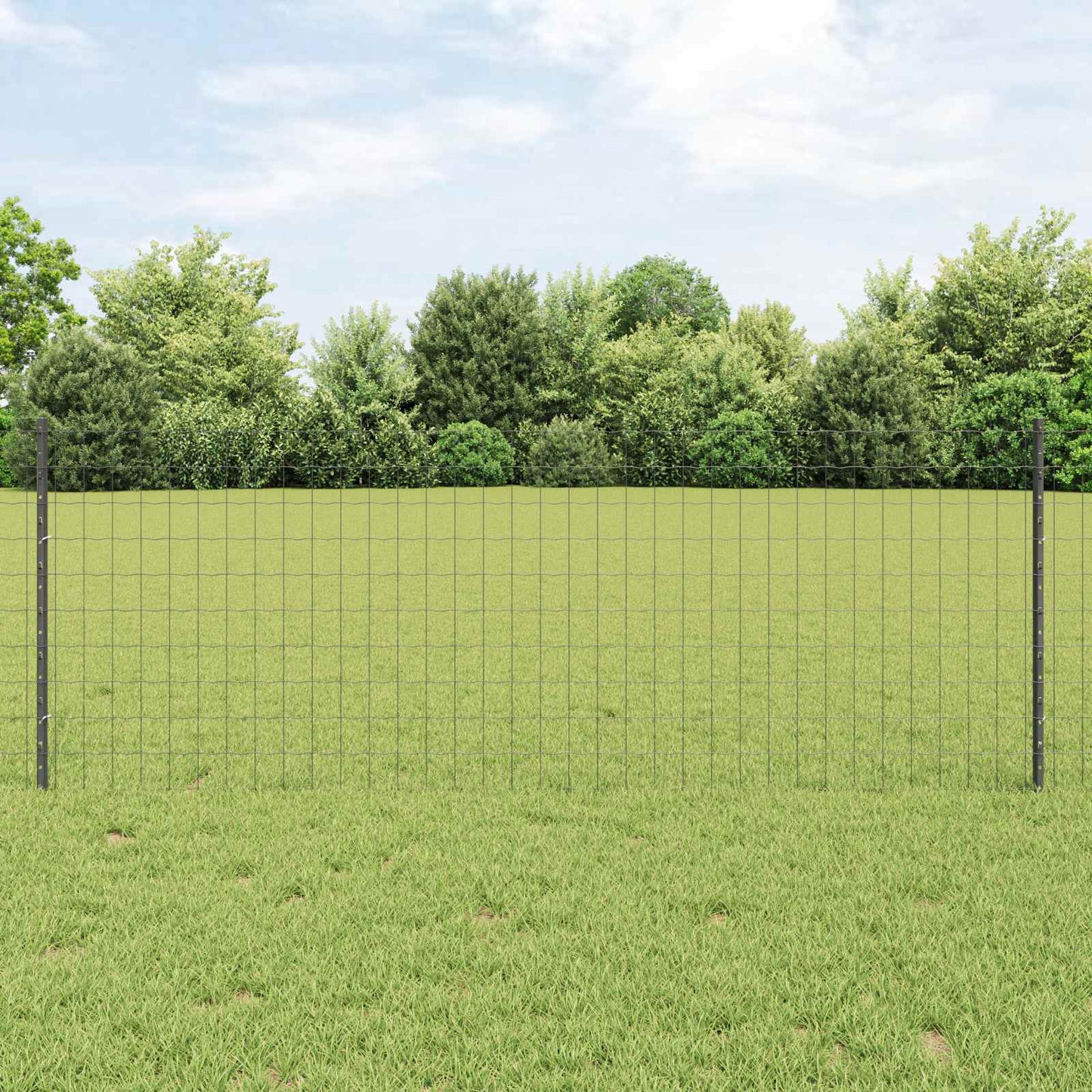Eurohegn med stolpe 25 x 0,8 m PVC-belagt stål Grå Mesh