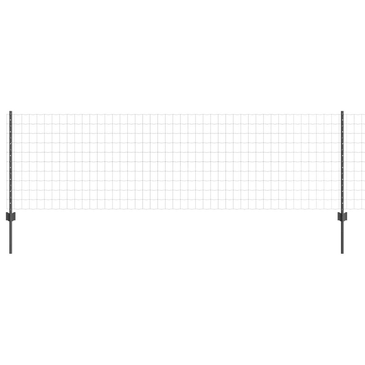 Eurohegn med stolpe 25 x 0,8 m PVC-belagt stål Grå Mesh