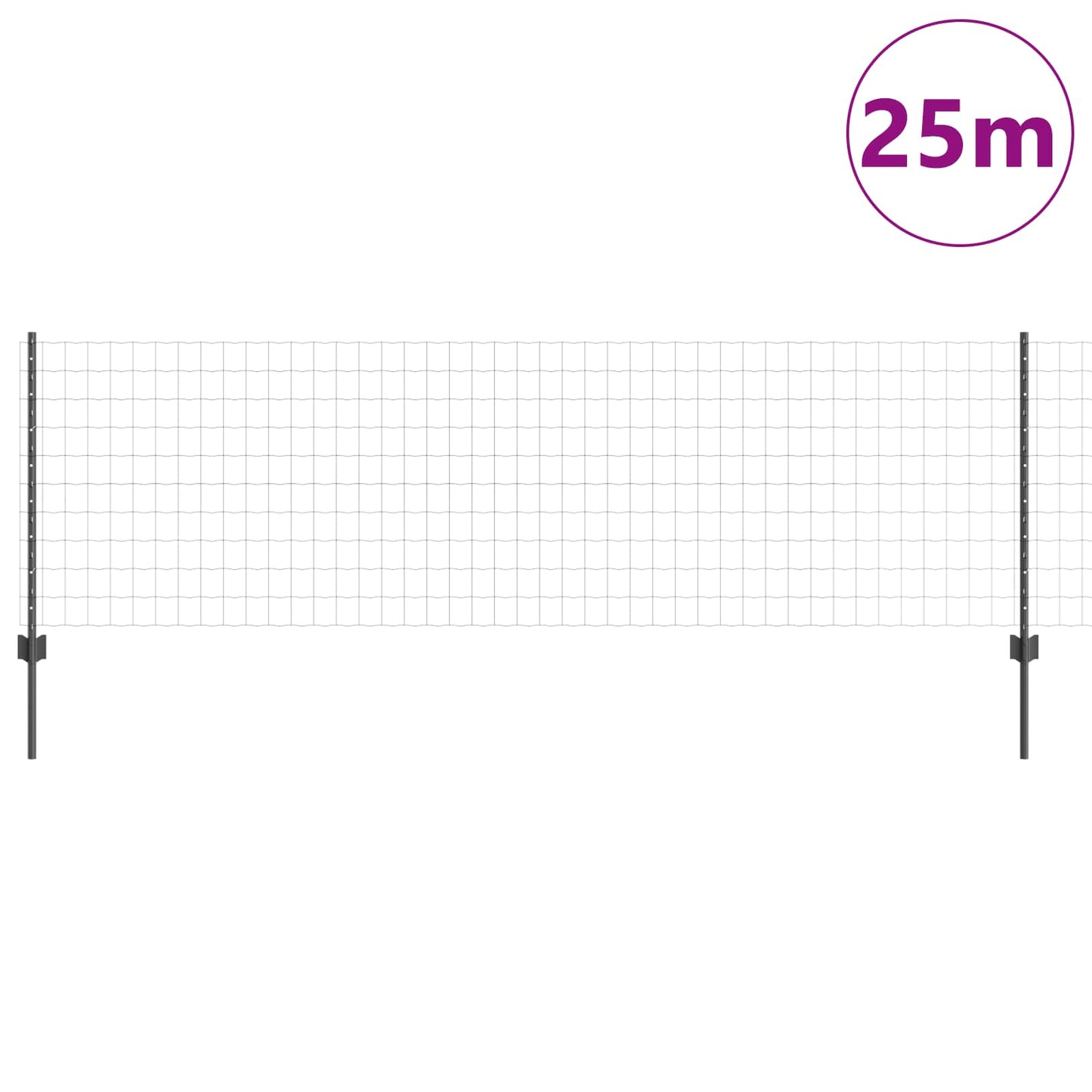 Eurohegn med stolpe 25 x 0,8 m PVC-belagt stål Grå Mesh