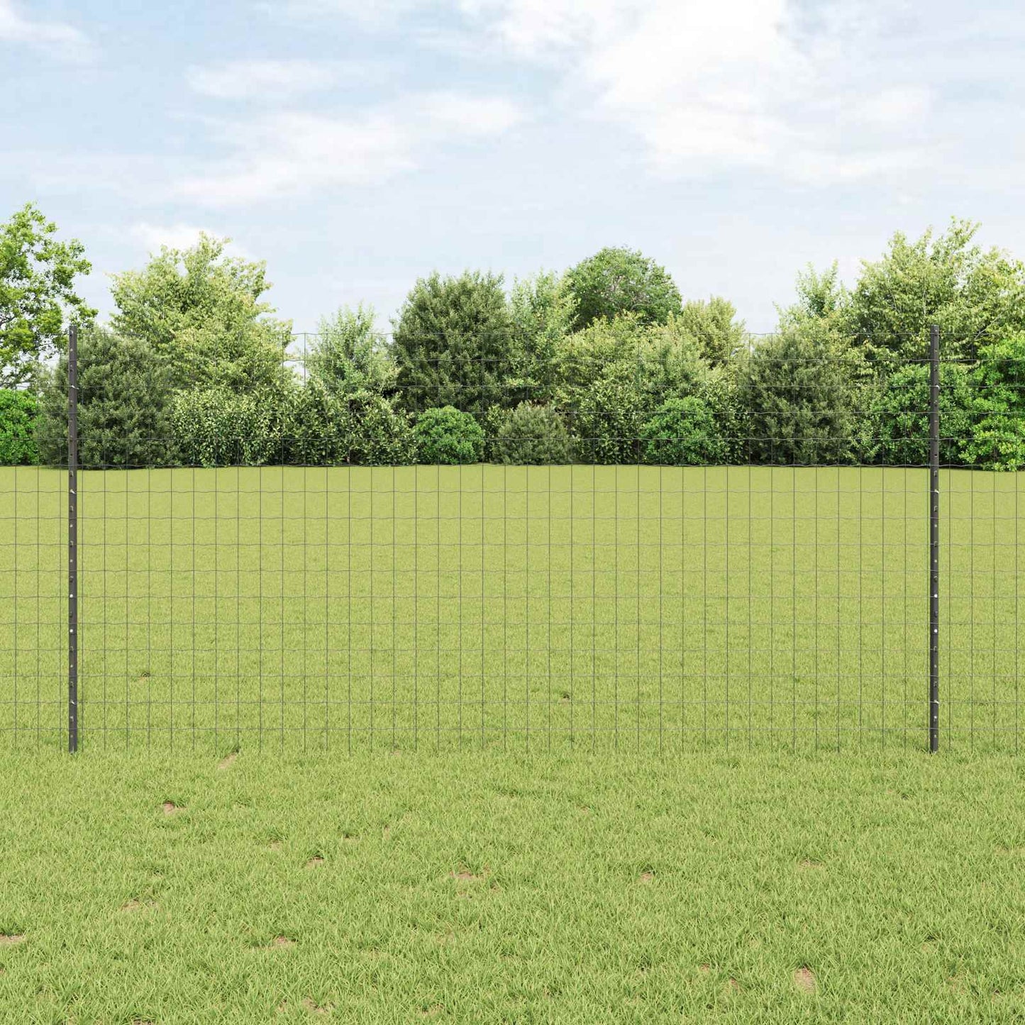 Eurohegn med stolpe 25 x 1,2 m PVC-belagt stål Grå Mesh