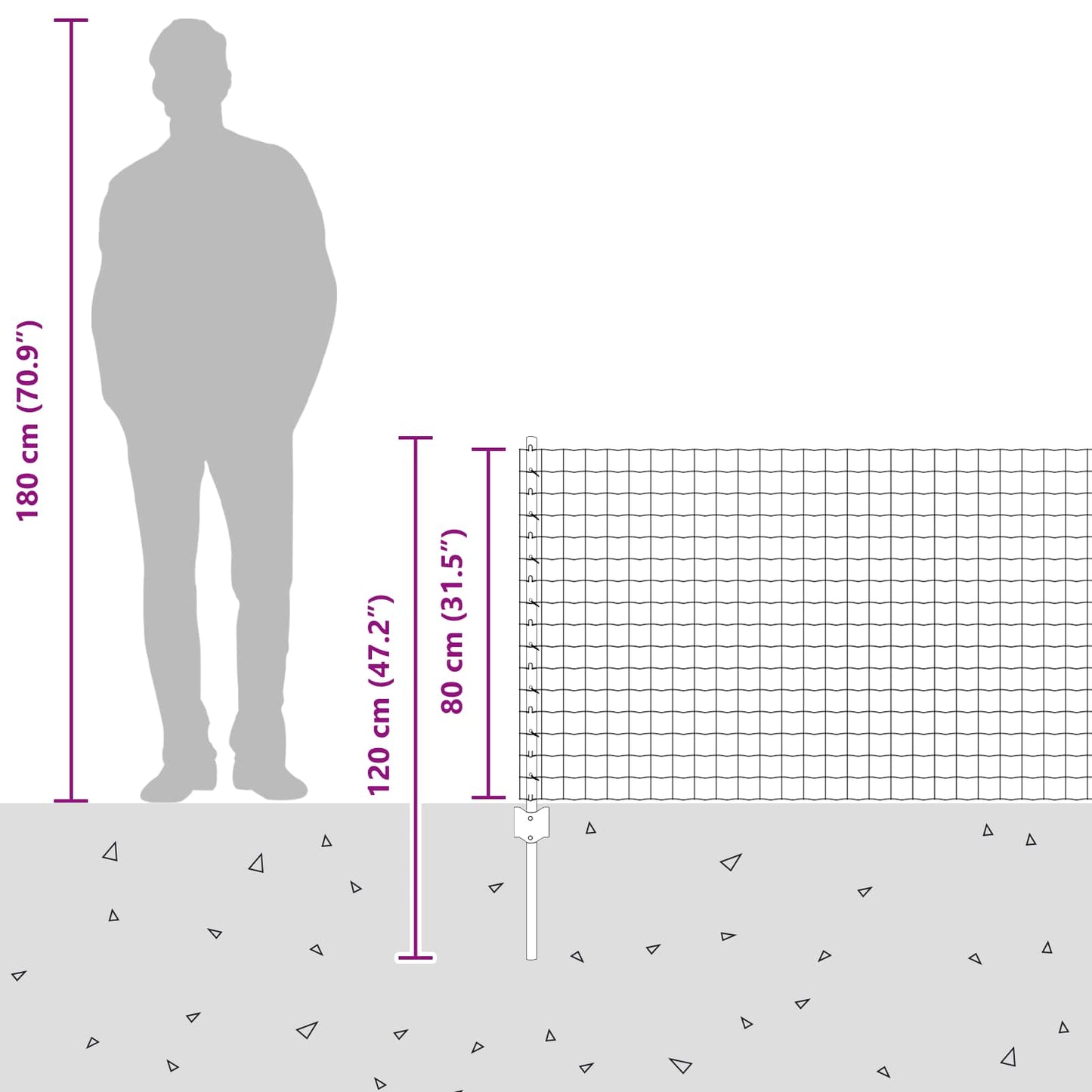 Eurohegn med stolpe 10 x 0,8 m Galvaniseret stål Sølv Mesh