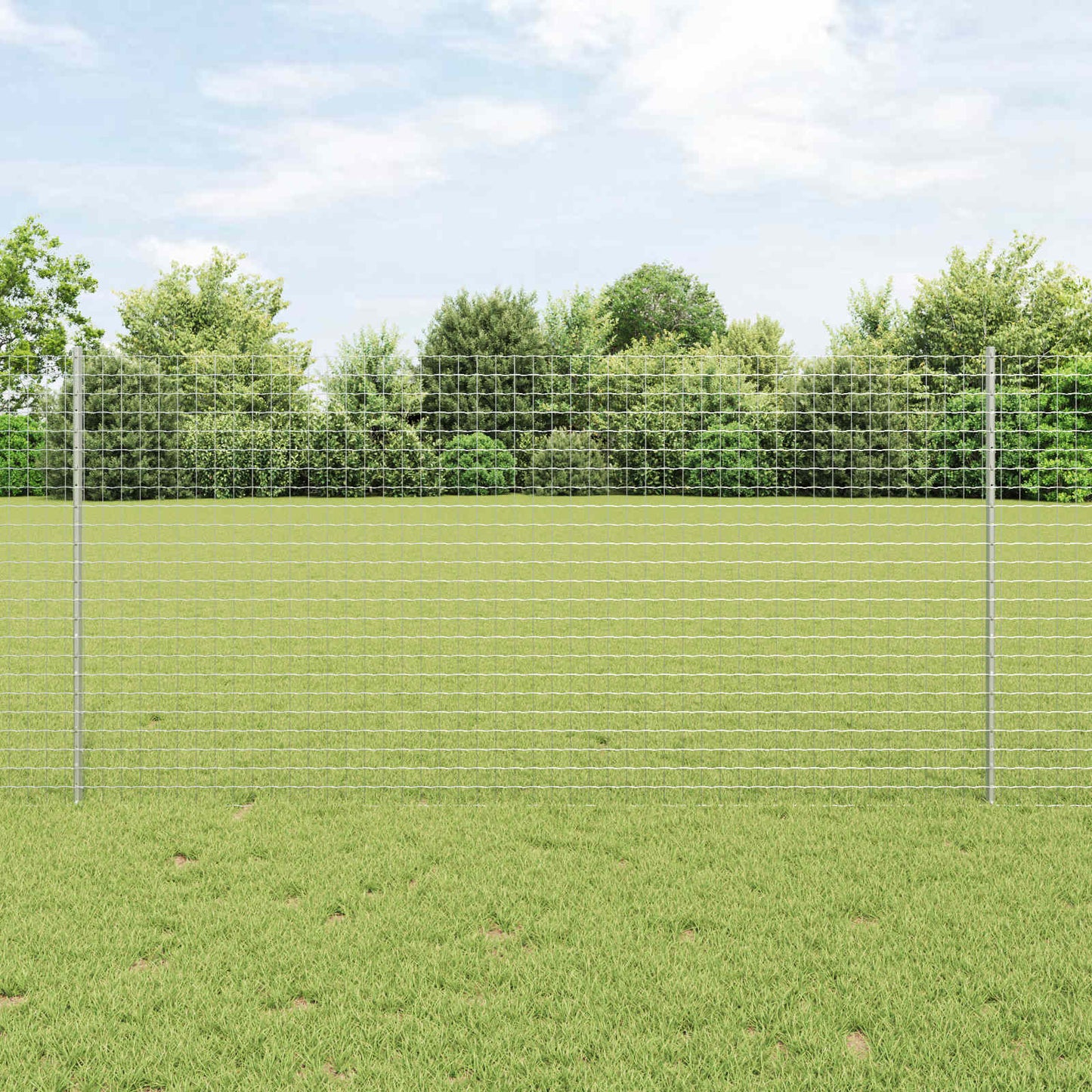 Eurohegn med stolpe 10 x 1,2 m Galvaniseret stål Sølv Mesh