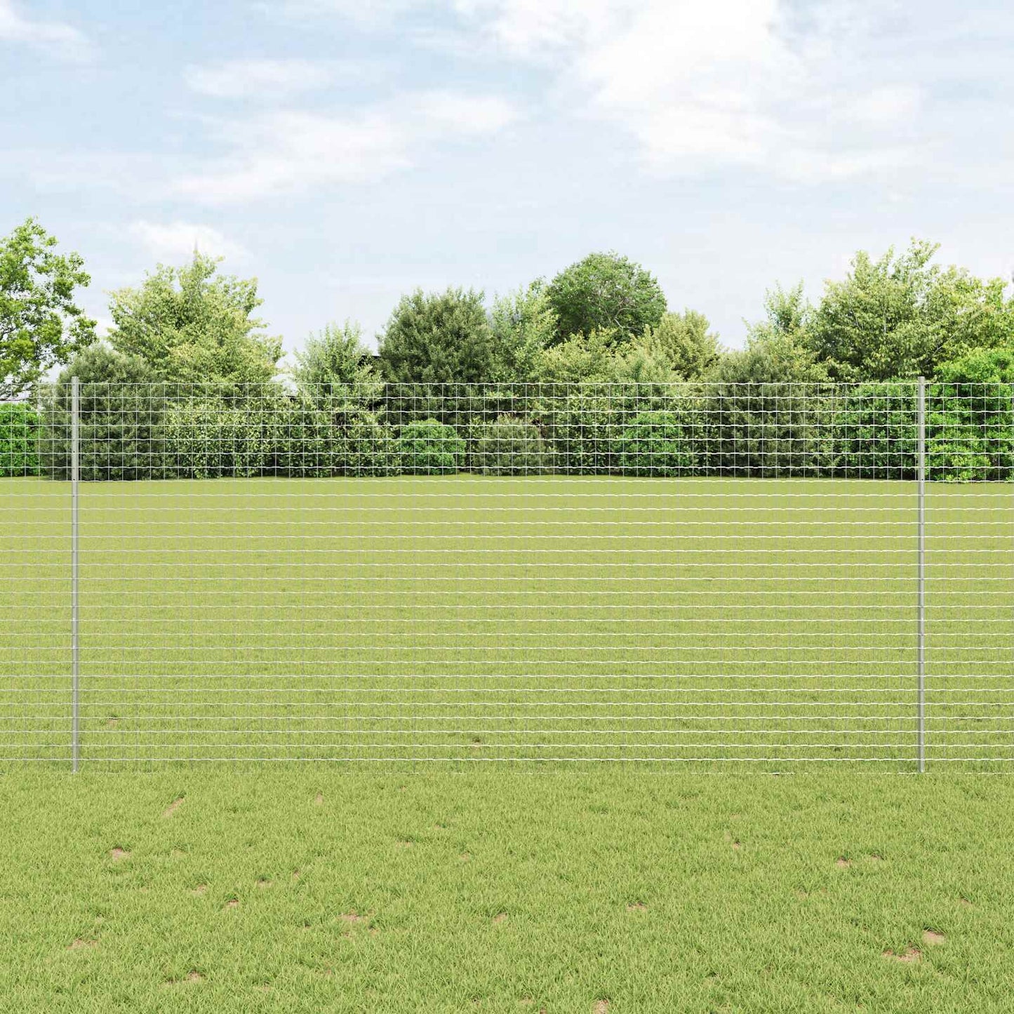 Eurohegn med stolpe 10 x 1,4 m Galvaniseret stål Sølv Mesh