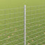 Eurohegn med stolpe 10 x 1,6 m Galvaniseret stål Sølv Mesh