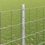 Eurohegn med stolpe 10 x 1,2 m Galvaniseret stål Sølv Mesh