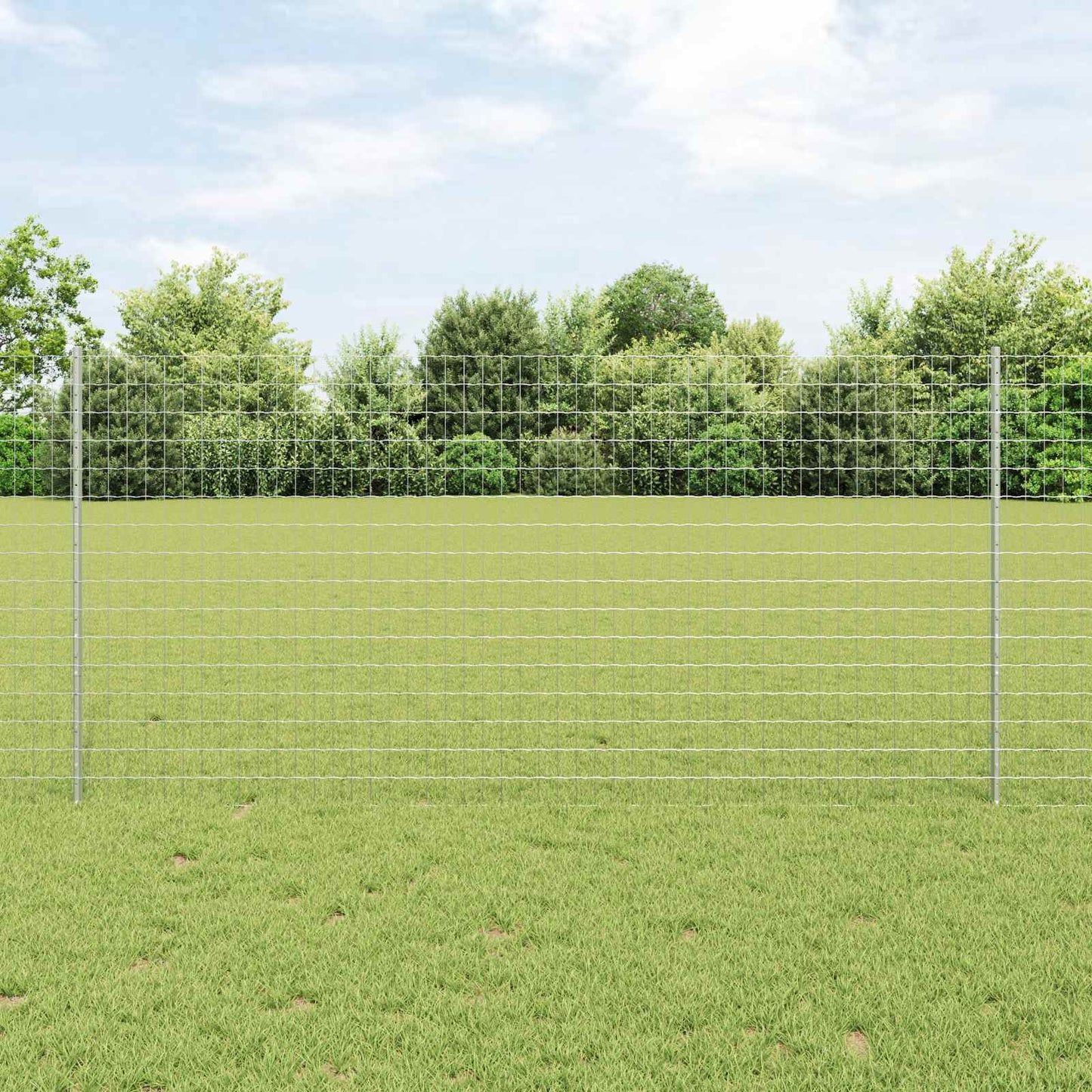 Eurohegn med stolpe 10 x 1,2 m Galvaniseret stål Sølv Mesh