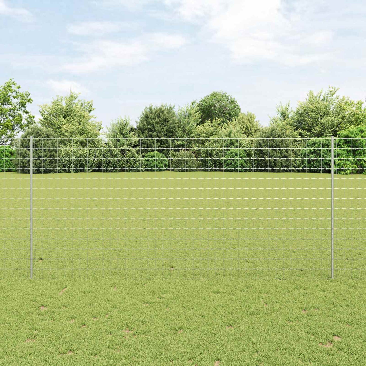 Eurohegn med stolpe 10 x 1,4 m Galvaniseret stål Sølv Mesh