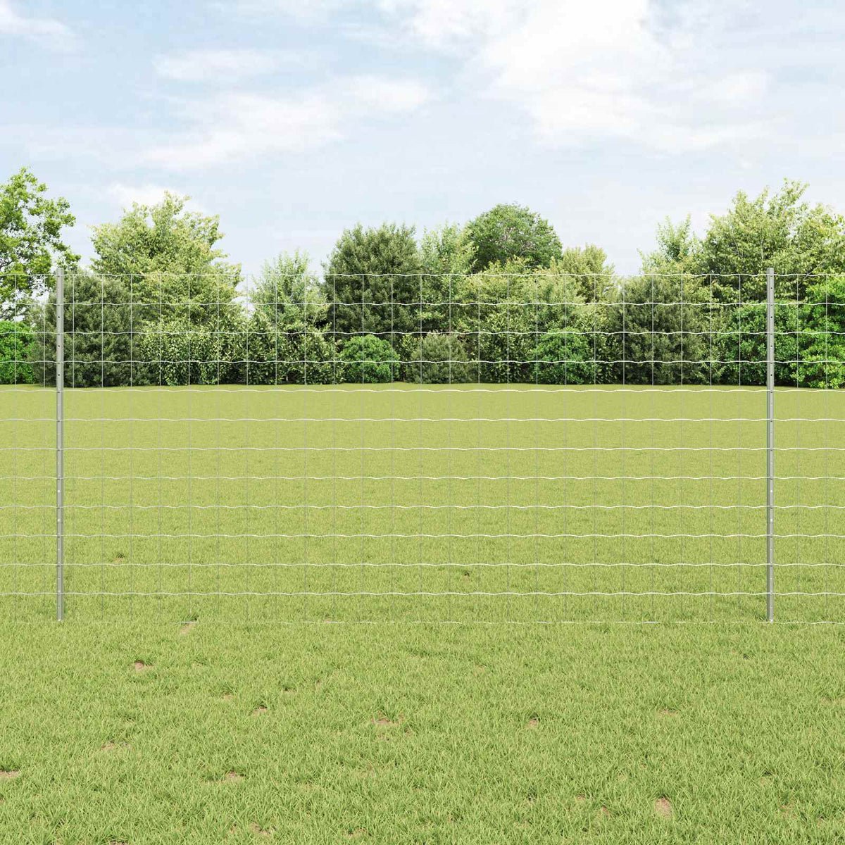Eurohegn med stolpe 10 x 1,2 m Galvaniseret stål Sølv Mesh