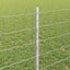 Eurohegn med stolpe 25 x 0,8 m Galvaniseret stål Sølv Mesh