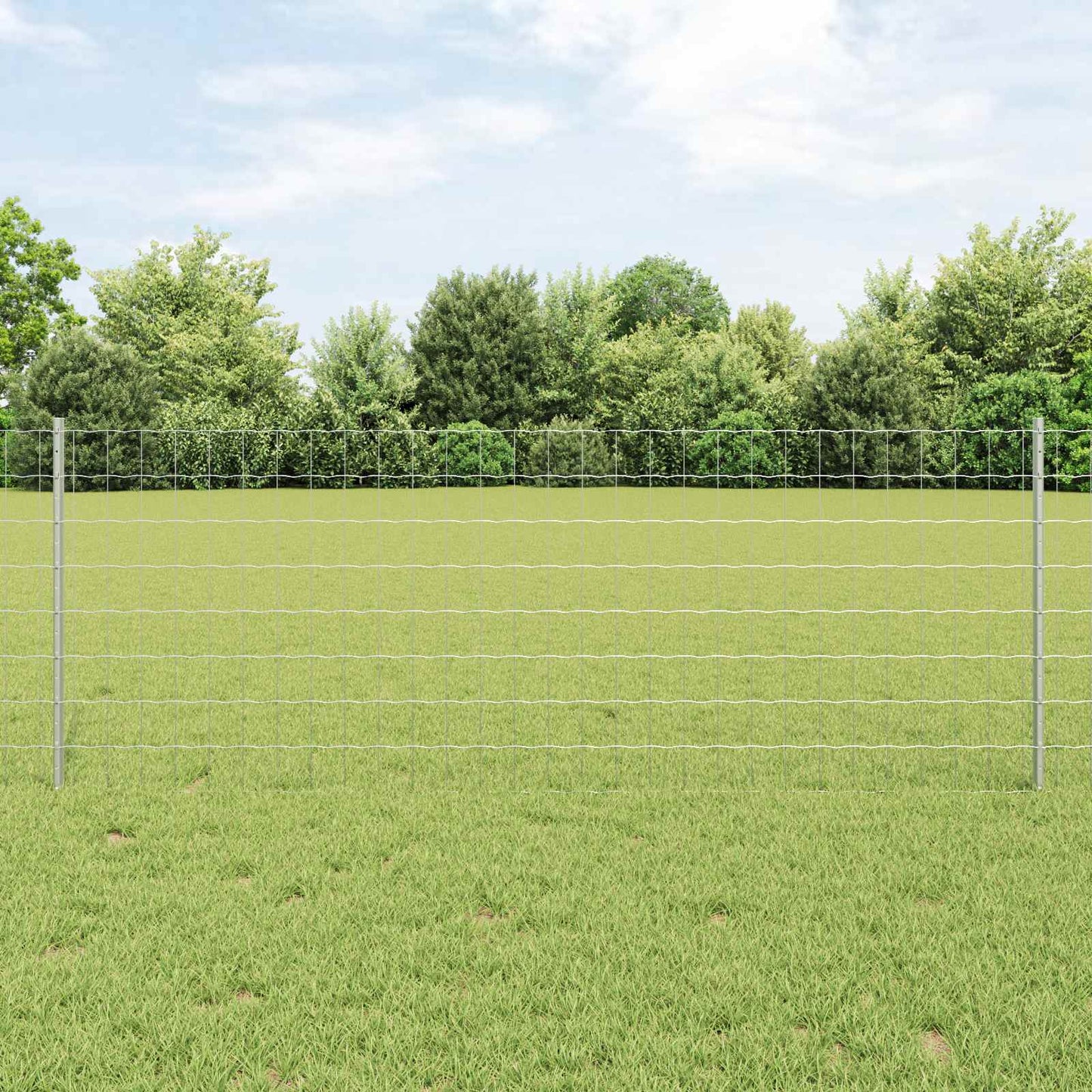 Eurohegn med stolpe 25 x 0,8 m Galvaniseret stål Sølv Mesh
