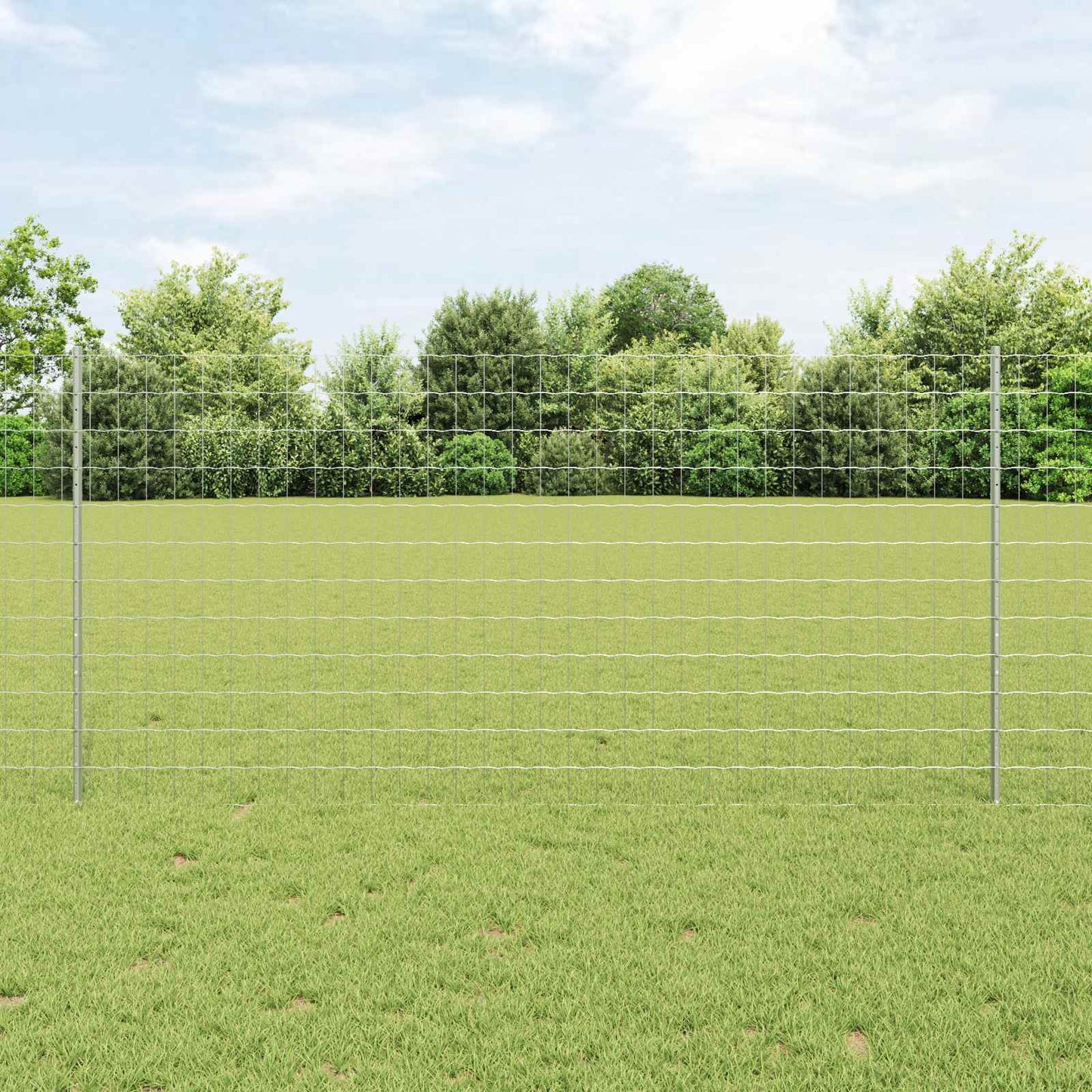 Eurohegn med stolpe 25 x 1,2 m Galvaniseret stål Sølv Mesh