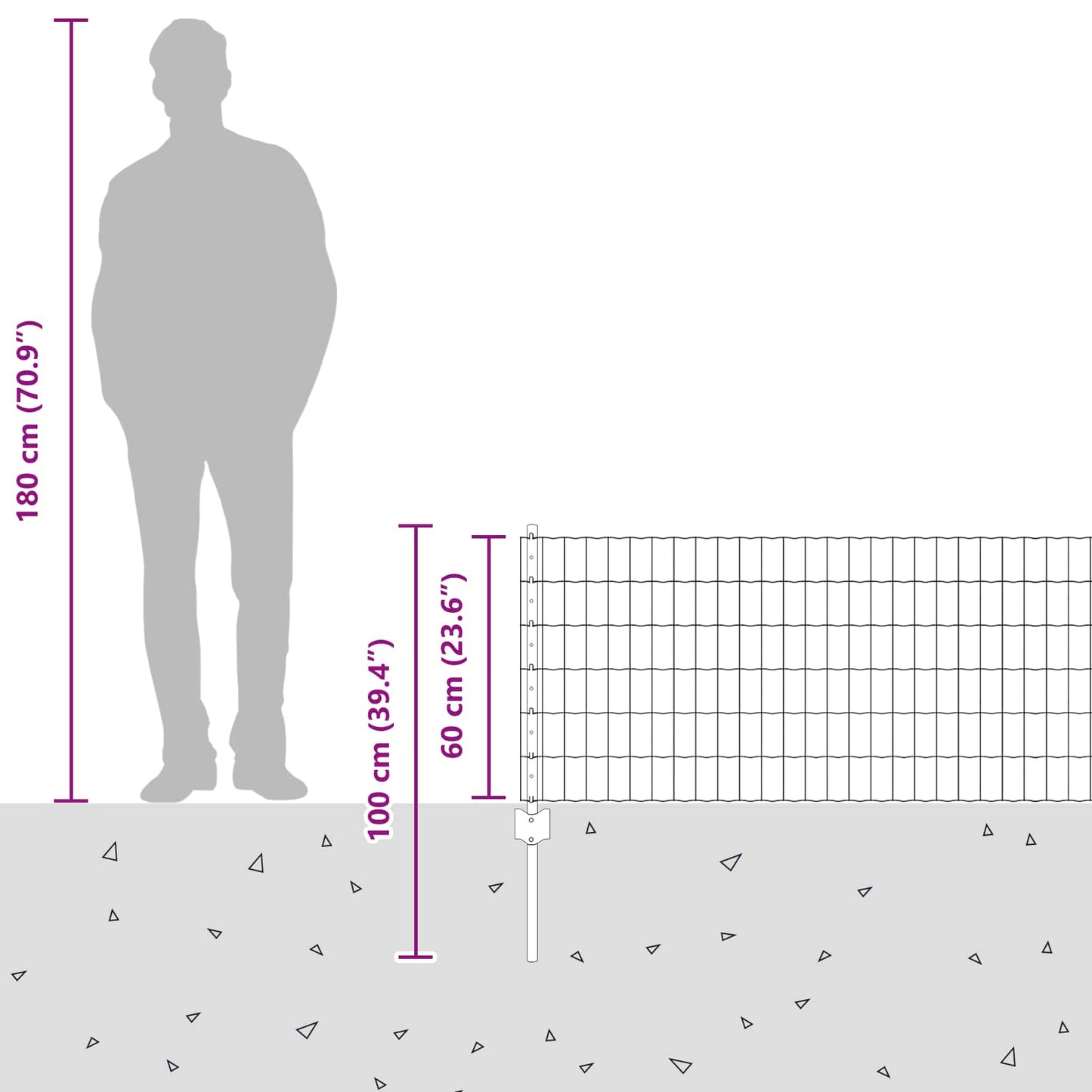 Eurohegn med stolpe 50 x 0,6 m Galvaniseret stål Sølv Mesh