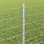 Eurohegn med stolpe 10 x 0,6 m Galvaniseret stål Sølv Mesh