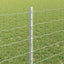 Eurohegn med stolpe 25 x 0,8 m Galvaniseret stål Sølv Mesh