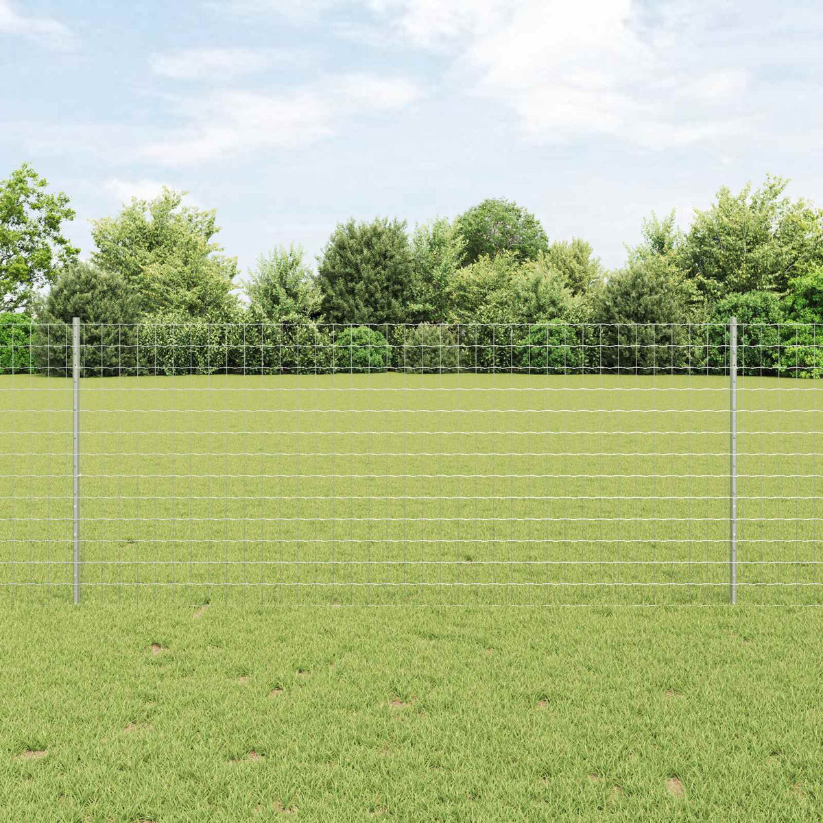 Eurohegn med stolpe 25 x 1 m Galvaniseret stål Sølv Mesh